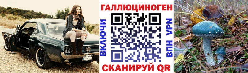 Псилоцибиновые грибы Cubensis Купить Кушва