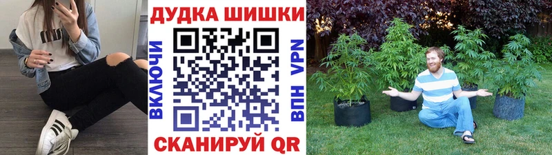 Купить закладки  Кушва  Каннабис тримм 